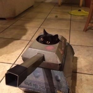 Meet your Posher, Jena